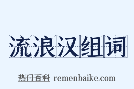 流浪汉组词是什么意思的图片